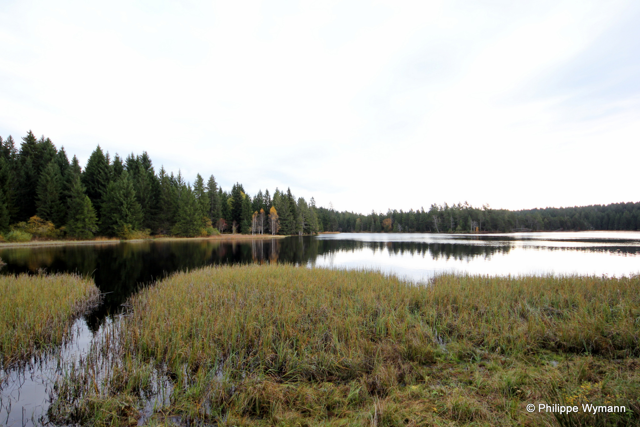 Etang de la Gruère, Saignelégier
